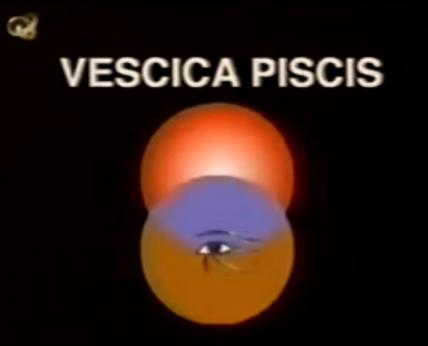vescica