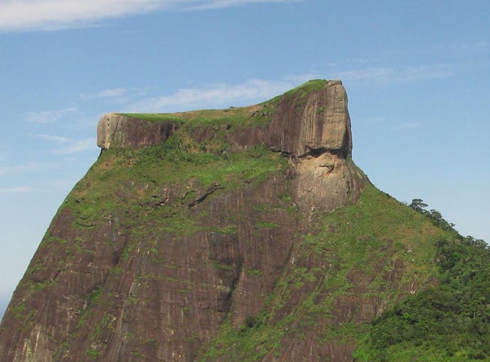 GAVEA