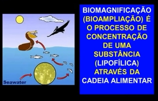 leite biomanificacao