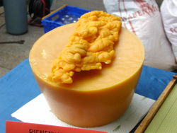 Apiterapia
