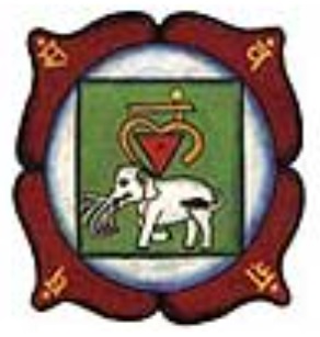 Chacraterapia Muladhara Chakra Vermelho ou Da Raiz