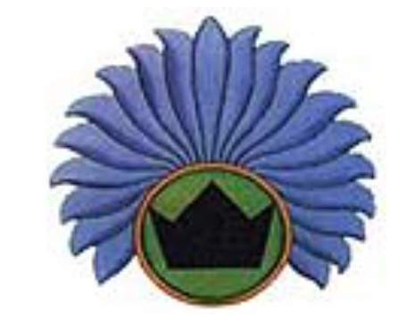 Chacraterapia Sahasrara Chakra Violeta