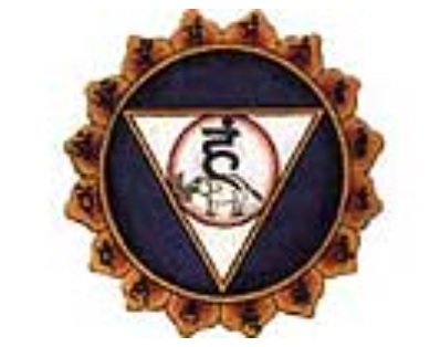 Chacraterapia Vishudda Chakra Azul
