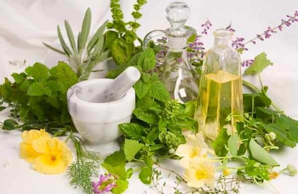 Fitoenergetica plantas