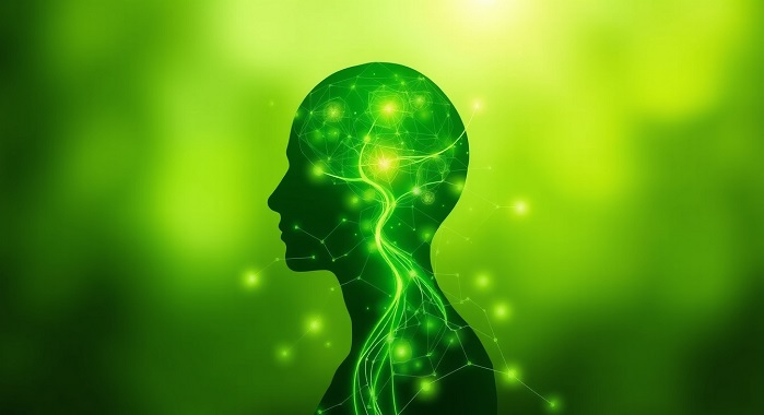 Verde: A Cor que Equilibra e Regenera Corpo e Mente