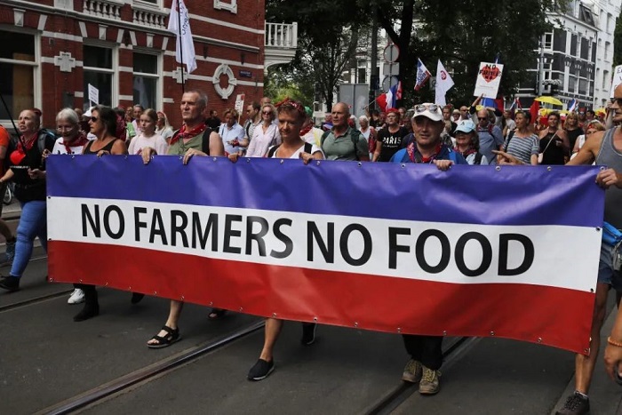 Holanda vacas sem comida