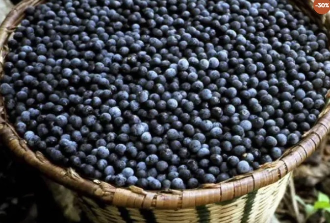 PIRATAFRUTAS ACAI
