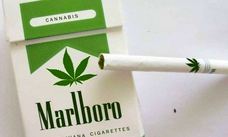 Tabaco maconha marboro